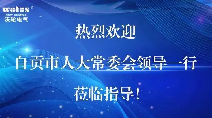 【领导关怀】自贡市人大常委会党组成员、机关党组书记古荣华一行莅临中国九游AG电气调研指导工作